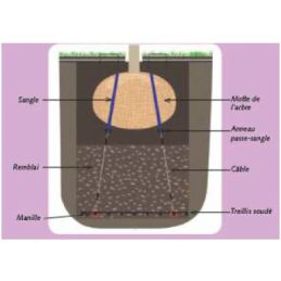 KIT ANCRAGE DE MOTTE A MANILLE
