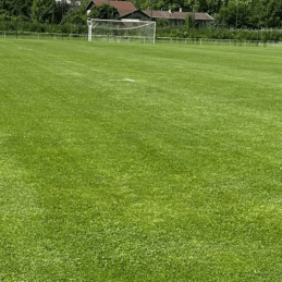 Gazon Echo Regarnissage -...