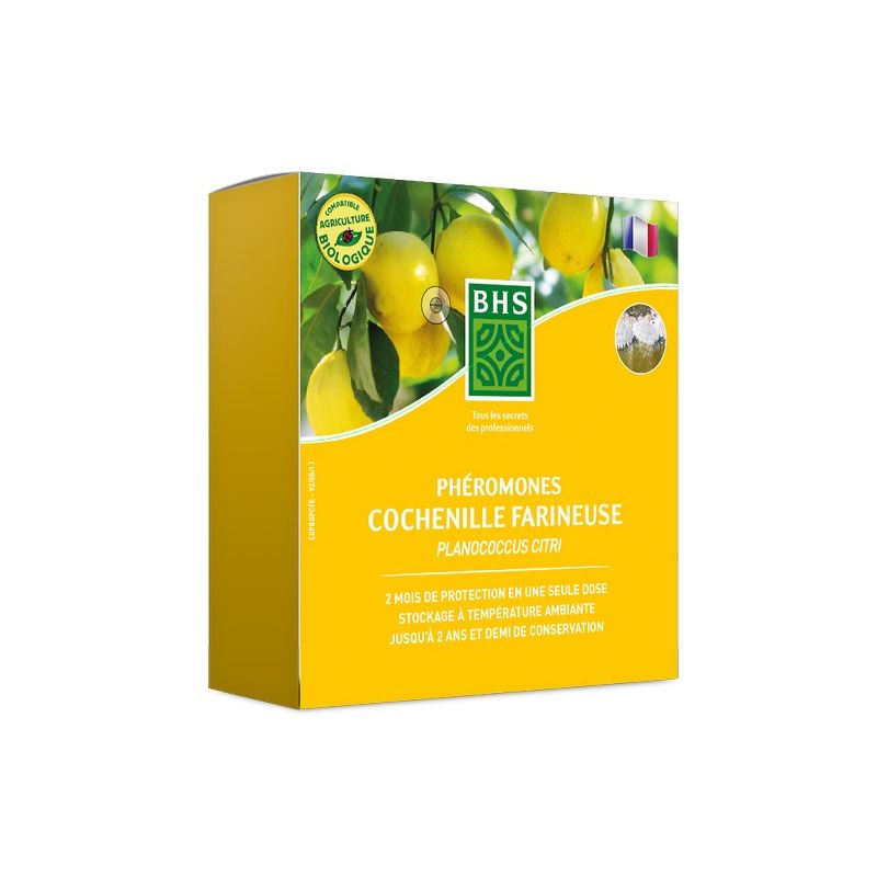 PHEROMONE COCHENILLE FARINEUSE (Seringue)