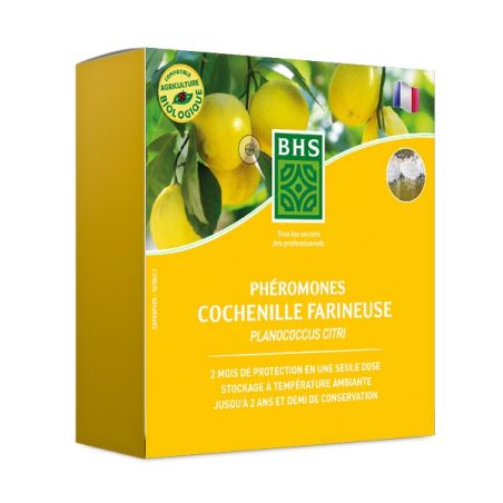 PHEROMONE COCHENILLE FARINEUSE (Seringue)