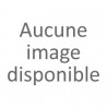 Algi